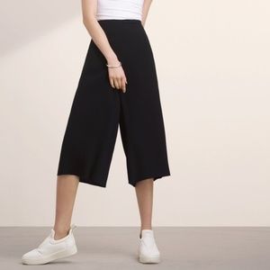 NWT Aritzia Lazarus Culottes